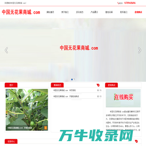 中国无花果商城.com